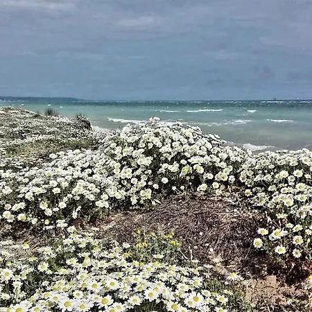 Agrumeto Costa Dei Trabocchi بيت للعطل *