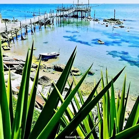 Agrumeto Costa Dei Trabocchi * Santa Maria Imbaro
