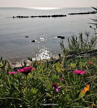 Agrumeto Costa Dei Trabocchi *
