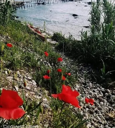 Agrumeto Costa Dei Trabocchi Сasa de vacaciones Santa Maria Imbaro