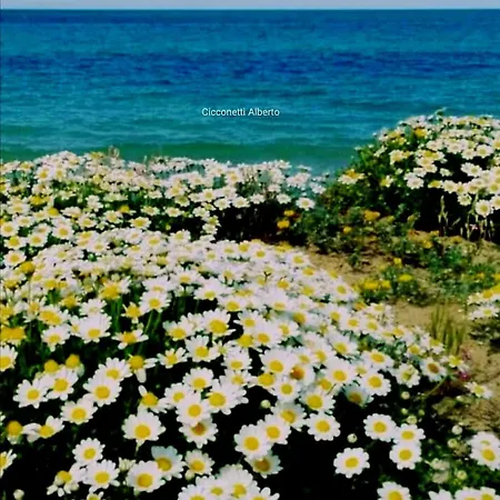 Agrumeto Costa Dei Trabocchi