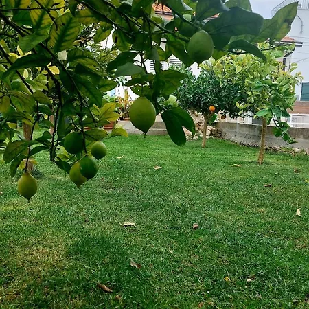 Agrumeto Costa Dei Trabocchi Dom wakacyjny *