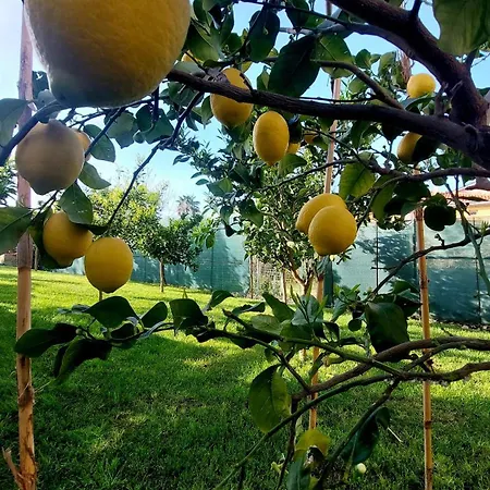 Casa vacanze Agrumeto Costa Dei Trabocchi *
