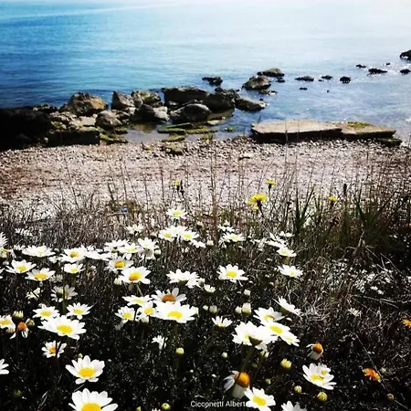 Agrumeto Costa Dei Trabocchi Santa Maria Imbaro
