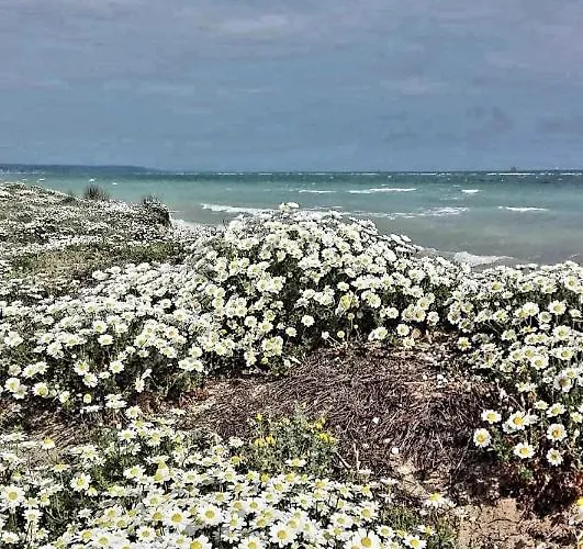 Agrumeto Costa Dei Trabocchi Casa vacanze *