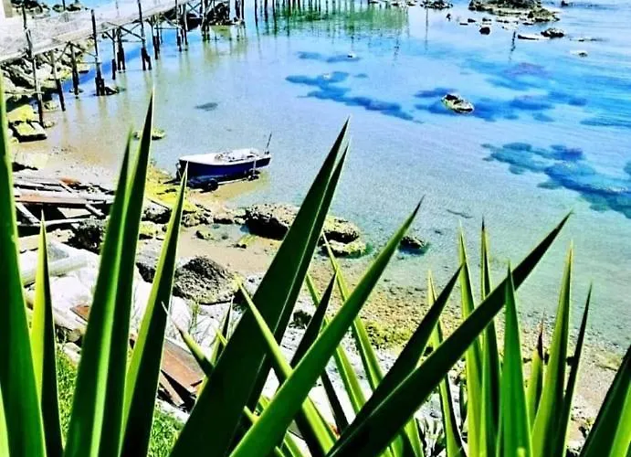 Agrumeto Costa Dei Trabocchi * Santa Maria Imbaro