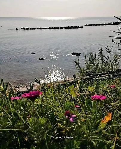 Agrumeto Costa Dei Trabocchi *
