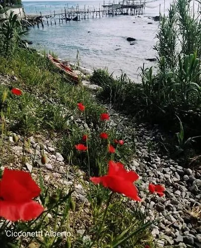 Agrumeto Costa Dei Trabocchi Casa vacanze Santa Maria Imbaro