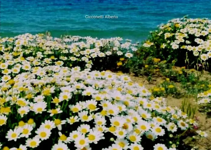 Agrumeto Costa Dei Trabocchi