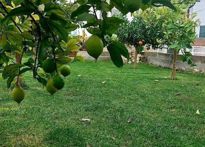 Agrumeto Costa Dei Trabocchi Casa vacanze *