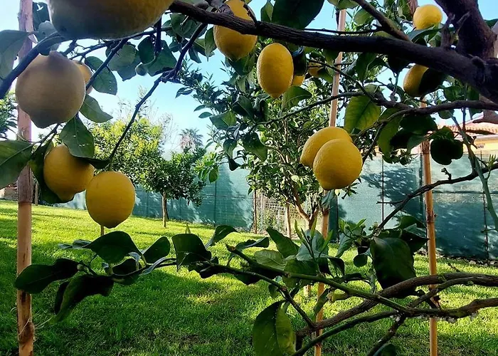 Nyaraló Agrumeto Costa Dei Trabocchi *