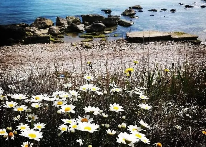 Agrumeto Costa Dei Trabocchi Santa Maria Imbaro